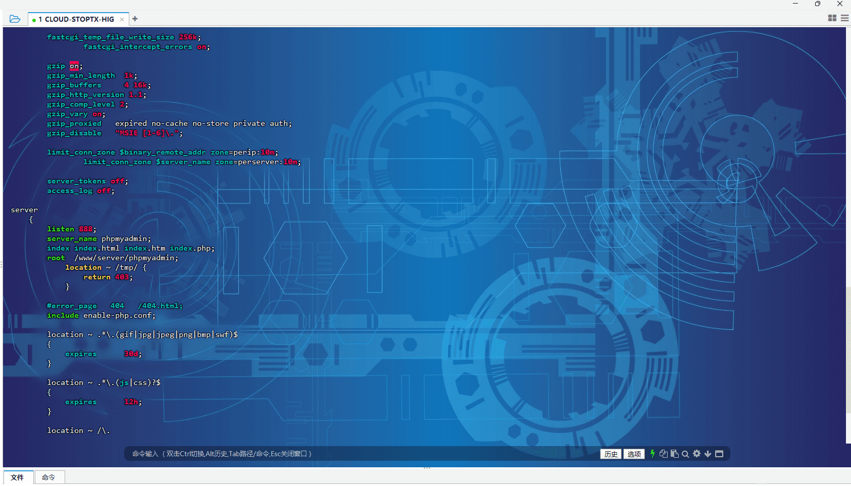 Nginx 终极指南：从入门到深度调优